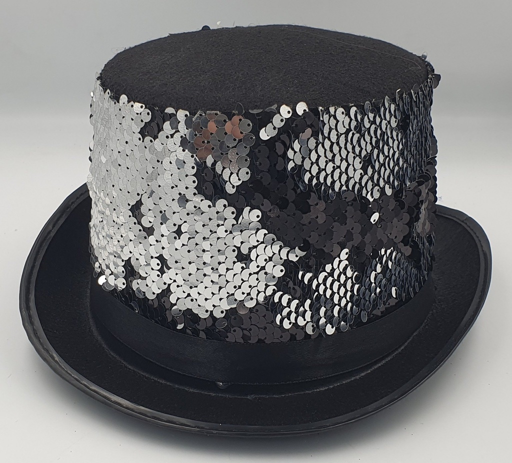 2013 Sequin Top Hat