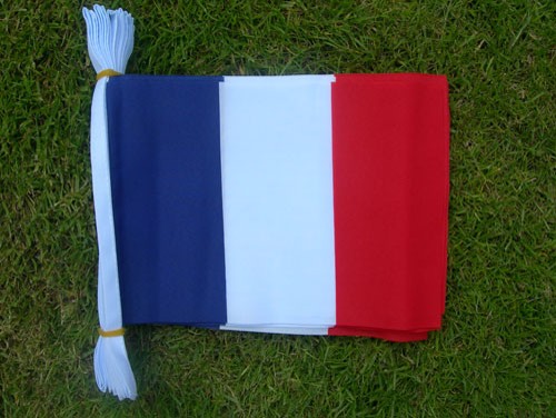 France Flag Bunting, 7m