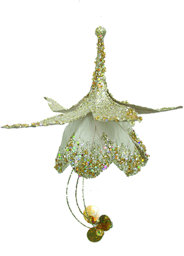 Lady's Ear Drop, 28cm