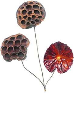 Glittered Lotus Pod Spray, 45cm