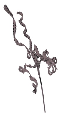 Metallic Curly Pick, 58cm