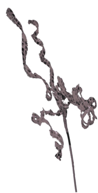 Metallic Curly Pick, 58cm