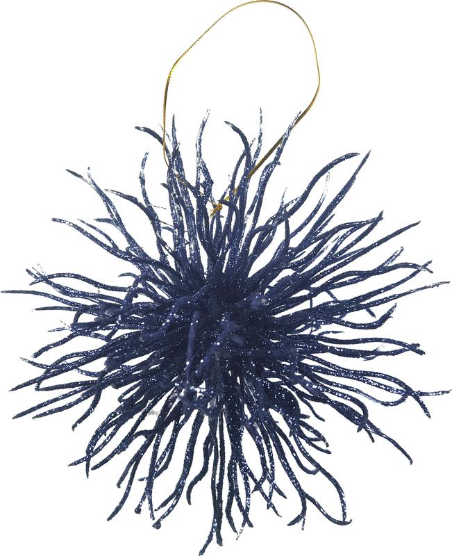 Prickly Burst, 18cm