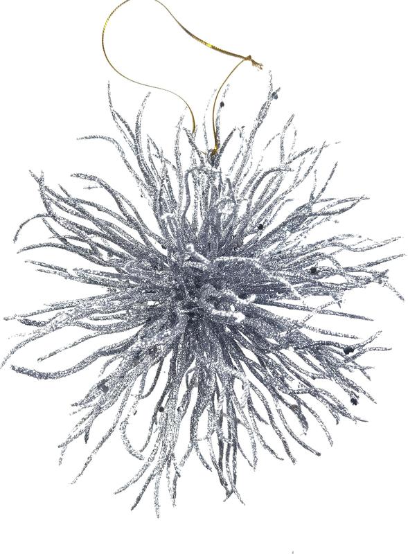 Prickly Burst, 18cm