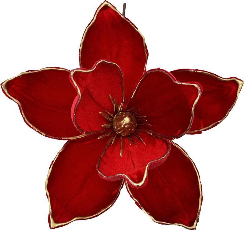 Poinsettia, 25cm