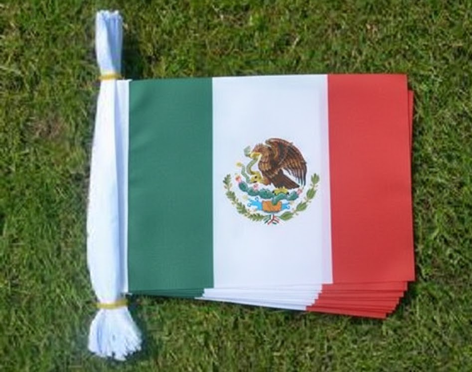 Mexico Flag Bunting, 8m