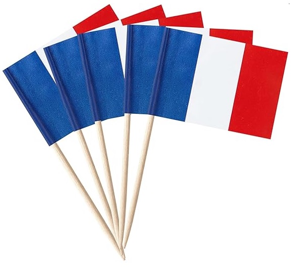 France Flag Picks