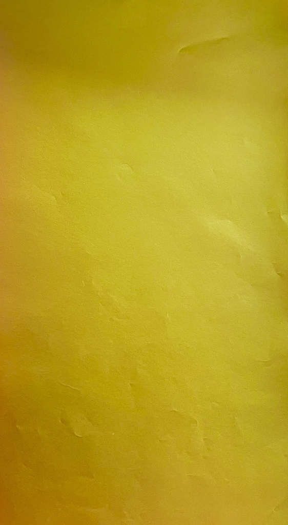 Plain Gift Wrap, 10m