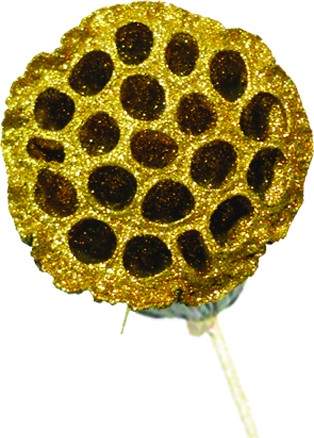 Lotus Pod with Stem, 11cm