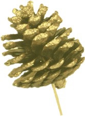 Pinecone with Stem, 7-8cm