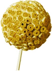 Sola Ata Rosette Ball Stem, 8cm