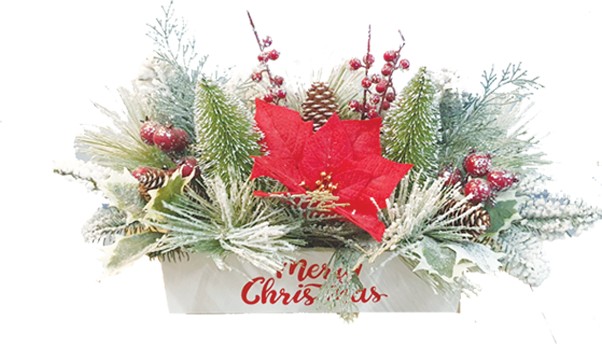 Centerpiece Poinsettia Script Box, 46cm