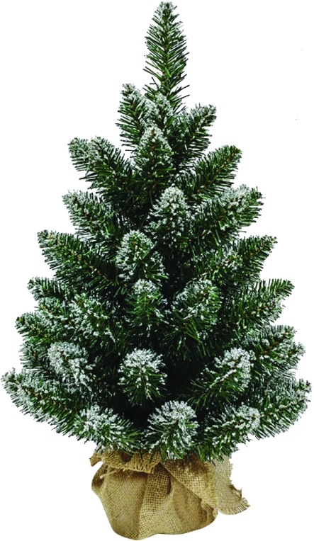 Mini Pine Tree, 70cm