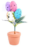 Egg Pot
