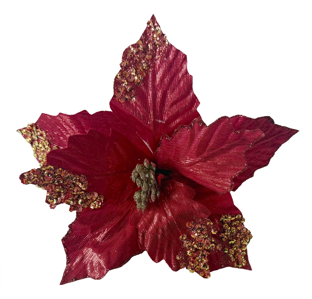 Poinsettia, 26cm
