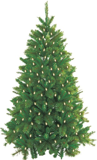 [DE024-07] Pre-Lit Needle and Classic Tree, 7'