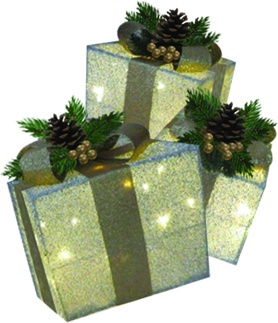 [OM079] Gift Box Berry Pine Set, 15-25cm