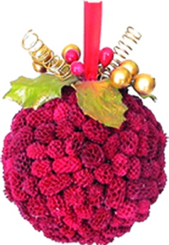 [REF008] Casuarina Ball Botanical Cluster, 12cm