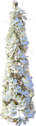 [REF155] Orchid Cone Tree, 6'