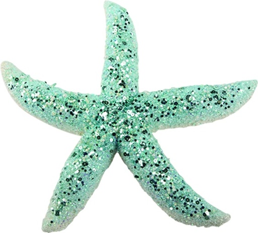 [EY119] Starfish, 30cm