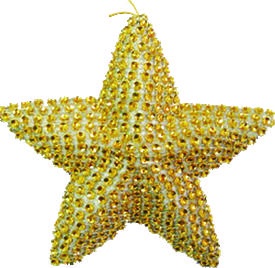 [EY020-GD] Beaded Hanging Star, 11cm