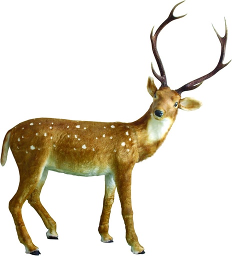 [DORIS] Spotted Reindeer with Antlers, 1.65m