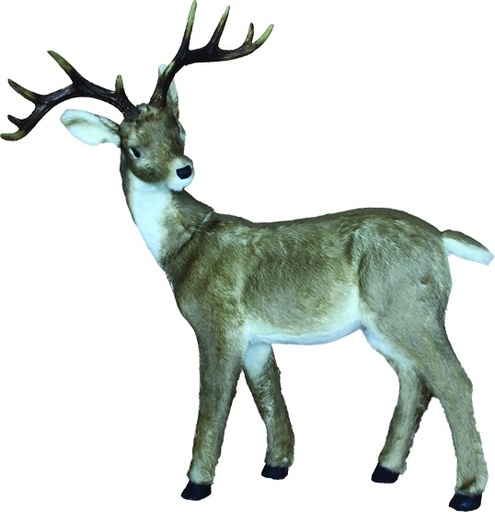 [ND18-02] Young Deer, 85cm