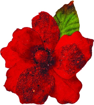 [EY045-R] Glittered Leaf Backed Poinsettia, 25cm