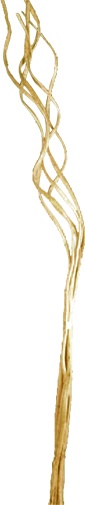 [GL157] Curly Twigs, 90cm