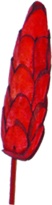 [GL118-10-R] Sola Pine Narrow Scale Stem, 7cm
