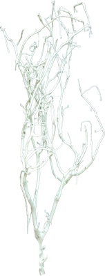 [GL159] Barren Branches Frosted Twig, 1m