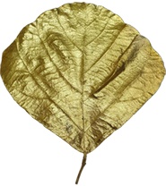 [GL178] Cobra Leaf Embossed Vein, 15cm-25cm