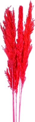 [GL216] Flame Plume Stick Flower