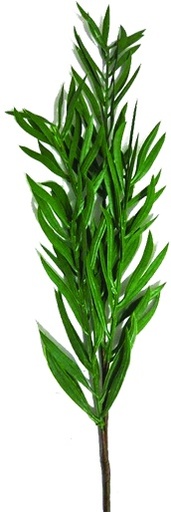 [SA053] Leaf Spray, 64cm