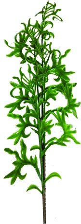 [SA054] Leaf Spray, 66cm