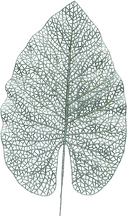 [FG209-S] Glittered Skeleton Leaf, 42cm