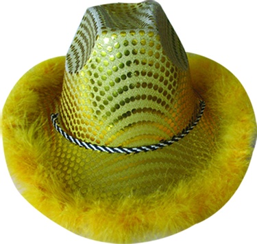 [SH9071V101-Y] Feathered Cowboy Hat
