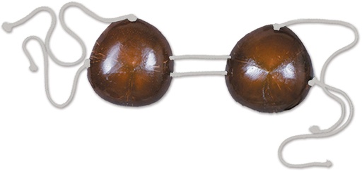 [50460] Coconut Bikini Top