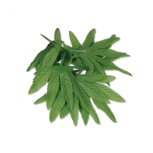 [57410] Tropical Fern Leaf Wristlet Anklet, 25cm