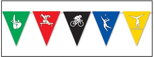 [59870] Sports Pennant Banner, 3.66m