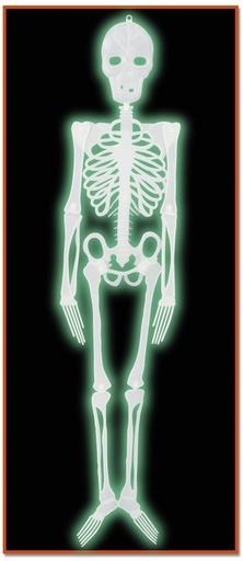[00832] Plastic Glow Skeleton, 1.2m