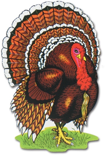 [99991] Turkey Cutout