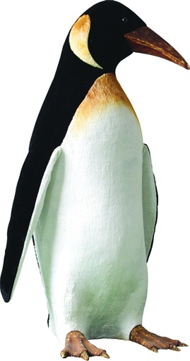 [NORMA] Penguin, 60cm