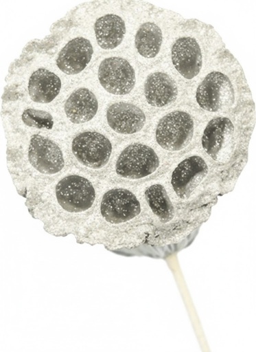 [GL001L-10-W] Glittered Lotus Pod Pick, 9cm