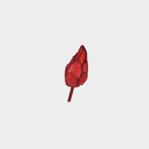 [GL114-40-R] Sola Litchu Tapered Bud Stem, 3cm