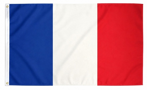 [LN001-FR] France Polyester Flag, 90cm