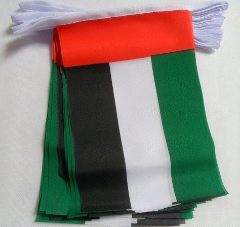 [LN002-AE] UAE Flag Bunting, 9m