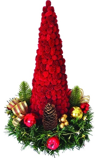 [REF011] Casuarina Cone, 30cm