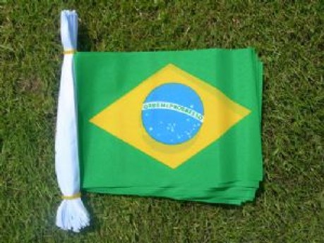 [WC004-BR] Brazil Flag Bunting, 7m