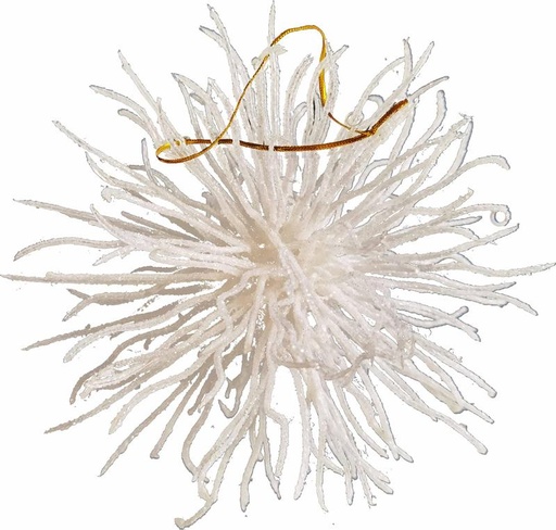 [EY214-W] Prickly Burst, 18cm